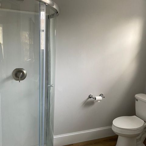 Curved glass corner shower beside a toilet on wood-look flooring
