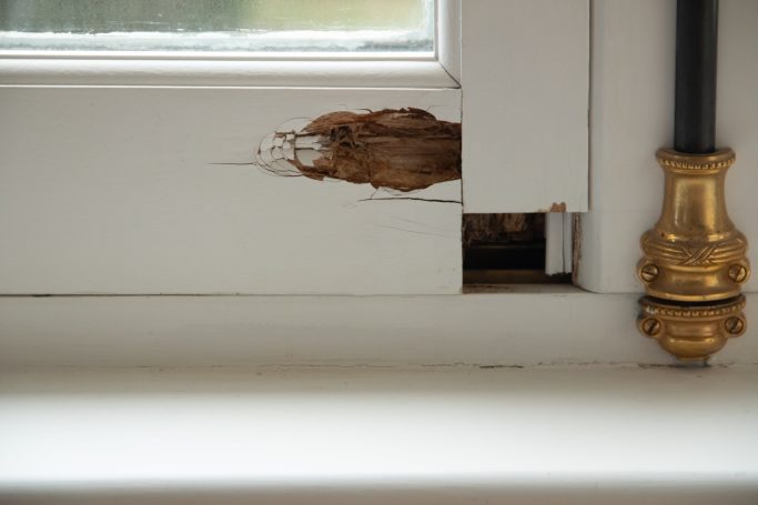 Old Rotted Window