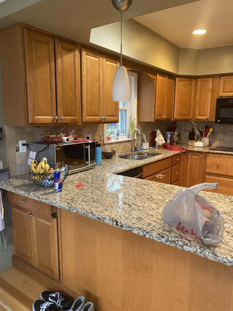 Kitchen Remodel before picture